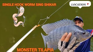 Single Hook Fishing On Sing Rod | Monster Tilapia Fishes Catching | Hyderabad Fishing Videos !!