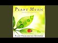 Healing Music for Plants