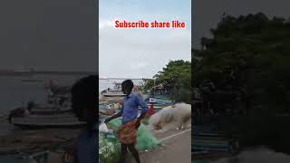 Vaadi kadappuram kollam port harbor short video 2022 #fishing #f4fishmedia #trending #fish