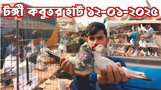 টঙ্গী কবুতর হাট ১২-০১-২০২৫ | Kobutor hat 2025 | Pigeon market in Bangladesh | Tongi Kobutor hat 2025