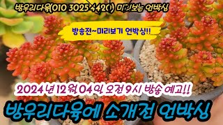 이번주 방우리다육~방송전 언박싱 으로 옆보기!! 2024년 12월 4일오전9시본방사수!!