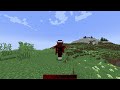 so bekommst du cosmetics in minecraft 100% kostenlos 1.8.9 1.21.4 wings cape shield usw.