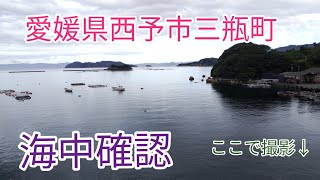 海中動画です。愛媛県三瓶町