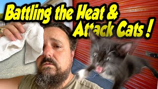 Battling the Heat & Attack Cats & other tales from the $1,800 locker I bought at the storage auction