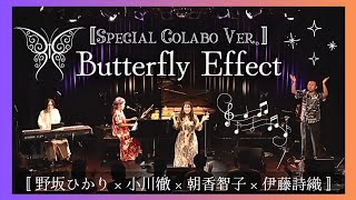 Butterfly Effect ｜Special Colabo Live Ver.【野坂ひかり×小川徹×朝香智子×伊藤詩織】