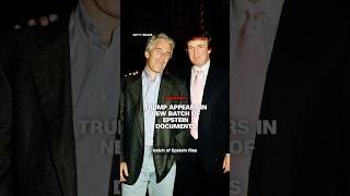 Trump appears in new batch of Epstein documents