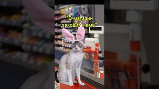 Котяра обманул продавца#мем #cat #youtube #viralvideo #рек