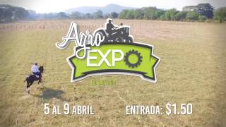 AgroExpo 2017