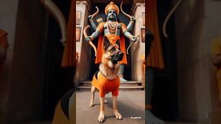 jay shree ram dog status🚩#shortvideo #shorts #doglover dog lover🐾🐾