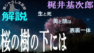 梶井基次郎『桜の樹の下には』解説｜絶対の美しさと死は表裏一体