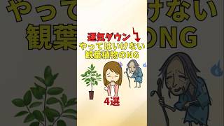 やってはいけない観葉植物風水のNG【風水アドバイザーがご紹介】#shorts