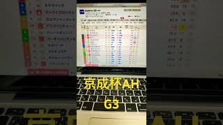 2024 京成杯AH 予想と買い目　#競馬　#競馬予想　#中山　#京成杯ah