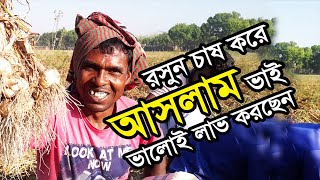 রসুন চাষ করে আসলাম ভাই সফলতার হাঁসি দিলেন