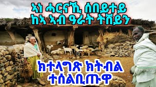 ሓርናኺ ሰበይተይ ከኣ ኣብ ዓራት ትሸይን፡ ክተላግጽ ክትብል ተሰልቢጡዋ (1)