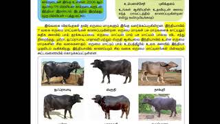 5th standard social science ,3rd term|science 1st lession-நமது சுற்றுச்சூழல்| part 1