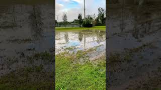 Retention VS Detention Pond🌿🐠