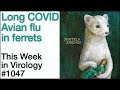 TWiV 1047: Long COVID and avian flu in ferrets