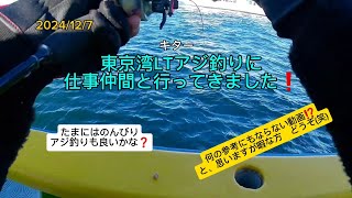 東京湾のアジ釣りの基本を極めようと(嘘)仕事仲間と和気あいあいとLTアジ釣りしてきました❗釣の参考には全くならないのでお気をつけて(笑)