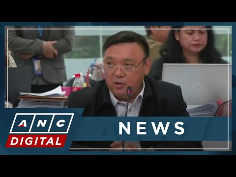 Rep. Pimentel: Harry Roque now considered a fugitive | ANC