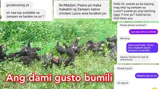 Ang daming gusto bumili ng Zampen native chicken, kaso ang layo