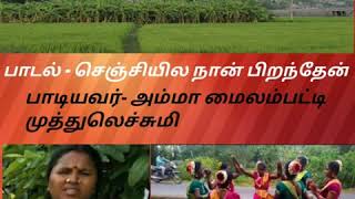 செஞ்சியில நான் பிறந்தேன் மைலம்பட்டி அம்மா முத்துலெச்சுமியின் மெல்லிய குரல் வடிவில்