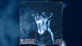 Free Dark Trap Loop Kit 2025 Scars Hip Hop Sample Pack Project Sneezy