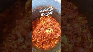 గోదావరి స్పెషల్ ఎర్ర పచ్చడి కొబ్బరితో  😋   #food #godavari #youtube #cooking #shortvideo