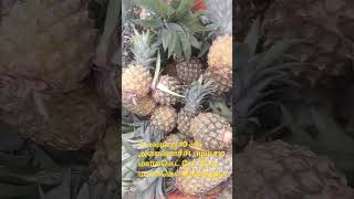 அன்னாசி பழம் 10 ரூபாய் சிட்டி மார்க்கெட் பெங்களூர் pineapple fruit rs 10 each healthy benefits