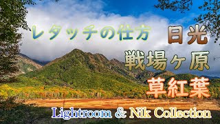 日光・戦場ヶ原の草紅葉を絡めて印象的に仕上げる