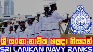 ශ්‍රී ලංකා නාවික හමුදාවේ නිලයන්  || Sri Lanka Army Ranks || Ranks of Sri Lanka Army Officers || Navy