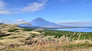 2017.10.01 ススキ越しに見る富士と山中湖の秋景色（山中湖パノラマ台）