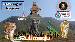 pulimedu paradise route INFO IN ಕನ್ನಡ.@vishwaadharam.#youtube #ayyappa #shabarimala#travel #forest