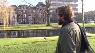 010nu - Op zoek naar zeldzame vogels in Rotterdam