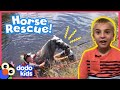 It’s Gonna Take A Ton Of Rescuers To Save This Horse! | Rescued! | Dodo Kids