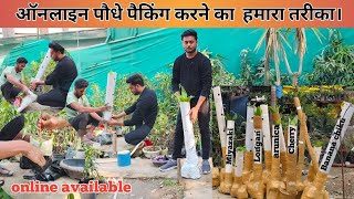 How Plants are packed for online, by courier ☘️ । PVC Pipe packing