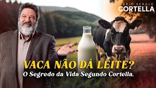 Mario Sergio Cortella - Vaca Não Dá Leite: Esforço e Dedicação para o Sucesso