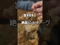 街中の老舗隠れ家洋食屋さん【ざっくばらん】千葉 茂原 絶品ガーリックハンバーグライス グルメ shorts japan japanfood japantrip japanlife