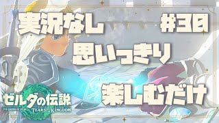 #30 ゼルダの伝説ティアーズオブザキングダム/水の神殿【実況なし/ティアキン】