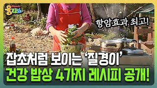 [건강버라이어티 올리브] 잡초처럼 보이는 '질경이' 건강 밥상 4가지 레시피 공개!