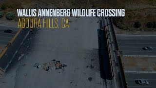 Project Highlight: Wallis Annenberg Wildlife Crossing