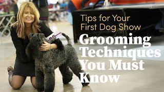 Grooming Techniques You Must Know - Tips for Your First Dog Show