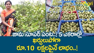 Jama, Guava Farming | జామ సూపర్ పంట..! 5 ఎకరాల్లో ఖర్చులుపోగా రూ.10లక్షల పైనే లాభం..!! Tone Agri