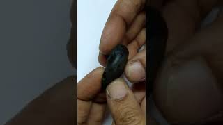 Aadhyathmik 100% Original Natural Sacred Janardhan Shaligram from Nepal Gandhaki - S9067-33