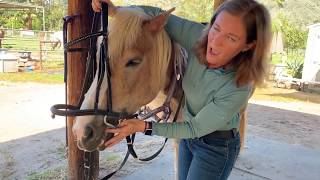 How to Bridle and Unbridle