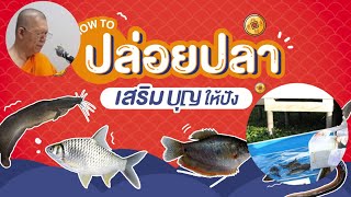 วันออกพรรษา วันพระใหญ่ 10 ตุลาคม 2565 สั่งสมบุญยามเช้า ช่วยชีวิตสัตว์เป็นทาน