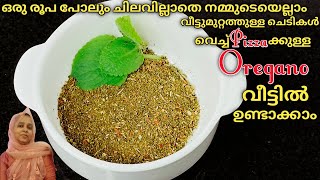 Oregano Recipe | Oregano recipe in Malayalam | ഒറിഗാനോ റെസിപ്പി മലയാളം |Jans Taste Hub ||