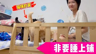 小娜子半夜趁妈妈睡着搬到上铺，猫咪和妈妈都很生气，家里更乱了！【小娜子麻麻】