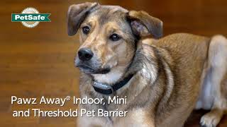 PetSafe® Pawz Away® Indoor, Mini and Threshold Barriers