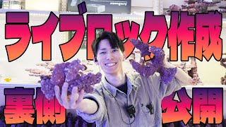 【ショートマンTV】レイアウトライブロック作成の裏側大公開！！