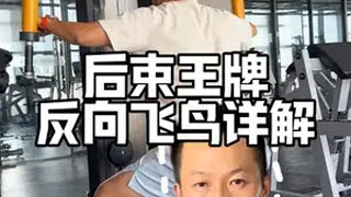 肩后束必练动作，坐姿反向飞鸟这样做你的斜方肌才能避免发力肩部训练 反向飞鸟 肩后束 坐姿反向飞鸟 练肩